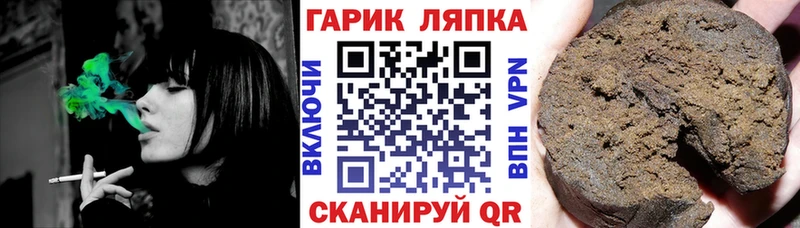 купить наркотики сайты  ссылка на мегу   ГАШ AMNESIA HAZE  Магас 